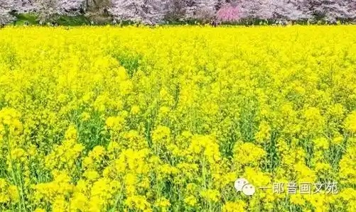 证书查询